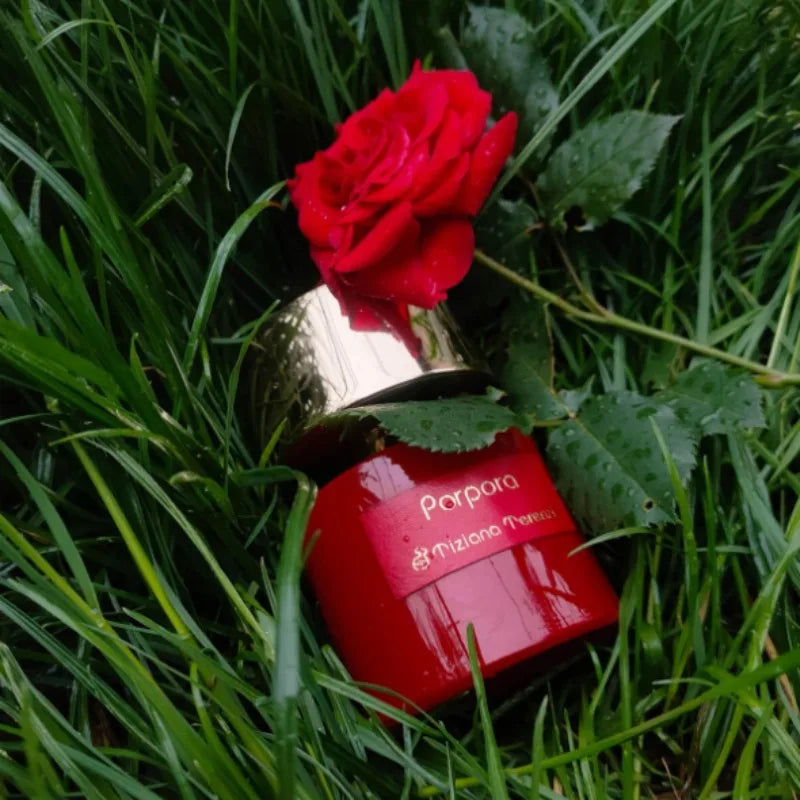 100ml Unisex Eau De Parfum Long Lasting Luxury Perfume Collection with 4 Elegant Scents Fruity Floral Oriental Woody Musky