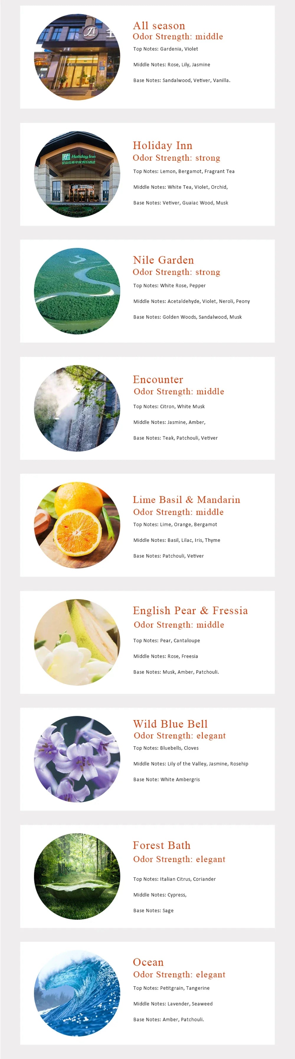 100ml Essential Oil For Aroma Diffuser Hotel Scent Machine Waterless Diffuser Room Fragrance Air Freshener