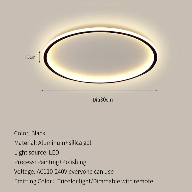 Ultrathin LED Ceiling Lamp for Living Room Bedroom Aisle Study Room Balcony Ceiling Light 90-260v Home Decor Lighting Fixture