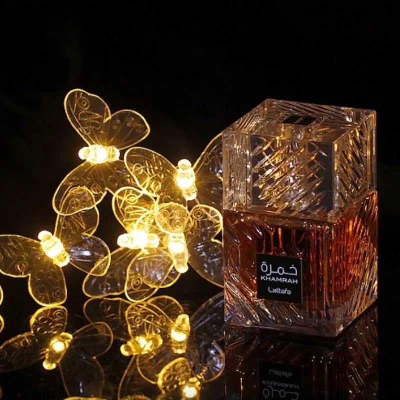 100ml Unisex Eau De Parfum Long Lasting Oriental Gourmand Perfume with Spicy Warm Elegant Signature Fragrance for Men and Women